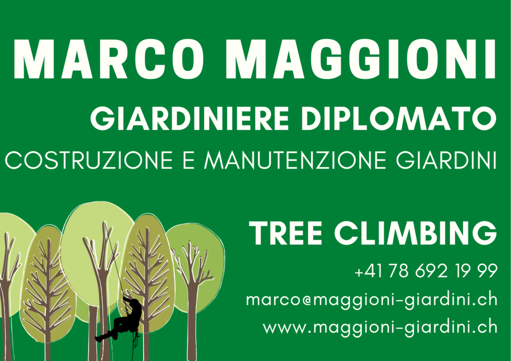 logo Maggioni-Giardini